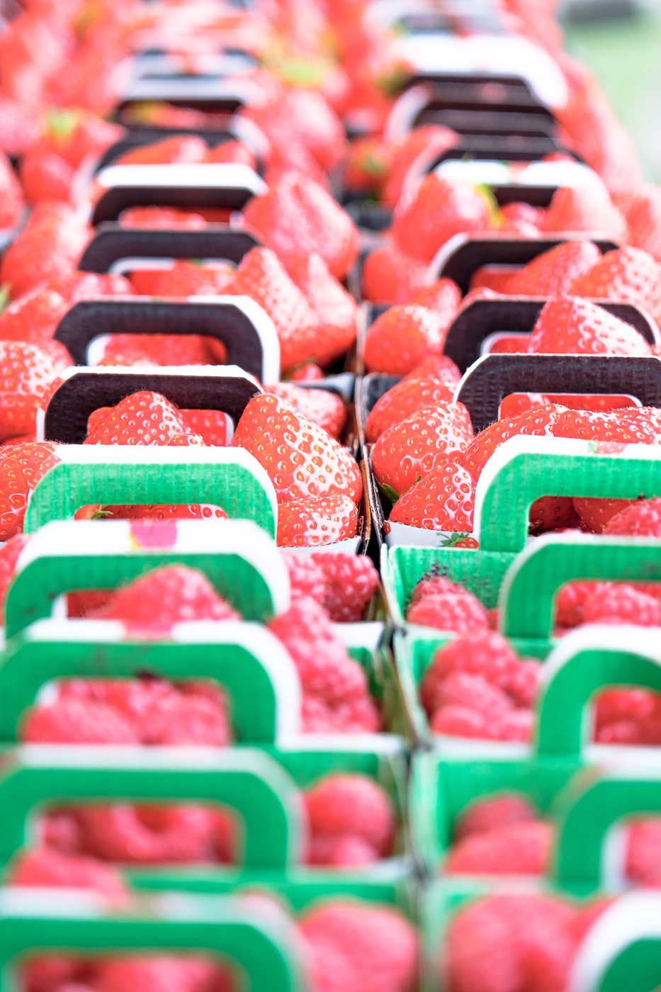 Nathalie Photographie professionnel marché producteur de fraises